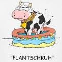 Plantschkuh.jpg Plantschkuh.jpg